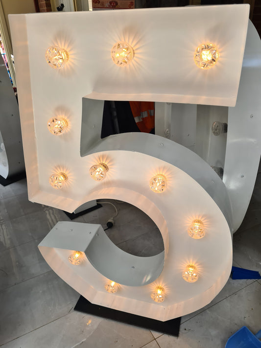 WILL YOU MARRY ME NEON SIGN