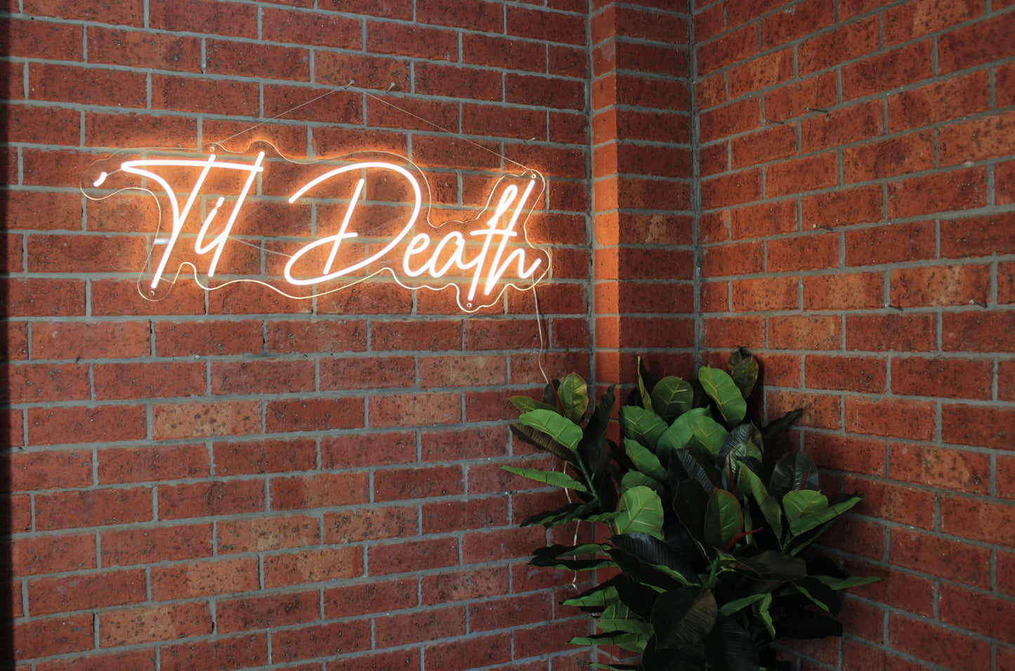 Til Death Neon Rental Ballarat